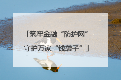 筑牢金融“防护网” 守护万家“钱袋子”