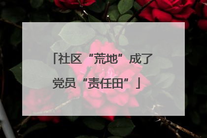 社区“荒地”成了党员“责任田”