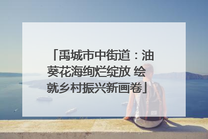 禹城市中街道：油葵花海绚烂绽放 绘就乡村振兴新画卷