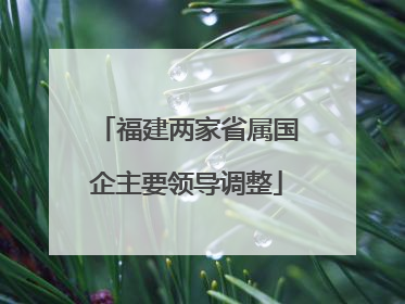 福建两家省属国企主要领导调整