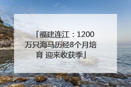 福建连江：1200万只海马历经8个月培育 迎来收获季