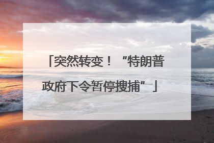 突然转变！“特朗普政府下令暂停搜捕”