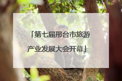 第七届邢台市旅游产业发展大会开幕