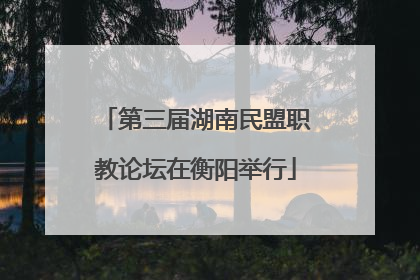 第三届湖南民盟职教论坛在衡阳举行