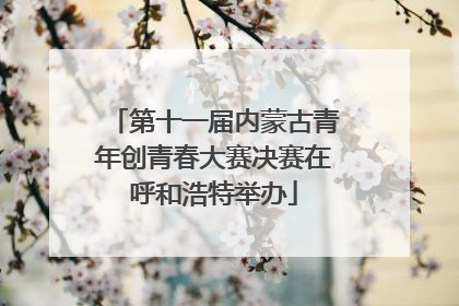 第十一届内蒙古青年创青春大赛决赛在呼和浩特举办