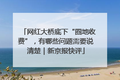 网红大桥底下“圈地收费”，有哪些问题需要说清楚｜新京报快评