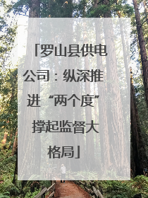 罗山县供电公司：纵深推进“两个度” 撑起监督大格局