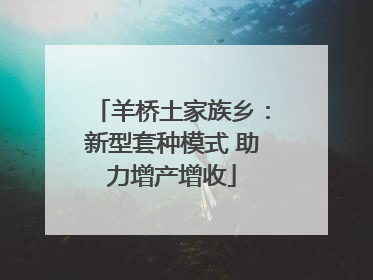 羊桥土家族乡：新型套种模式 助力增产增收