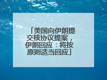 美国向伊朗提交核协议提案，伊朗回应：将按原则适当回应