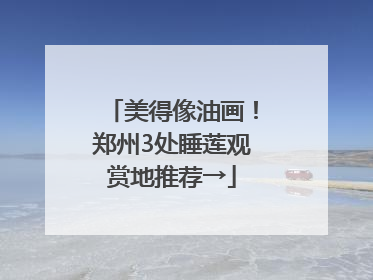 美得像油画！郑州3处睡莲观赏地推荐→