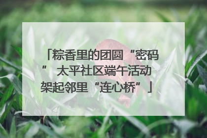 粽香里的团圆“密码” 太平社区端午活动架起邻里“连心桥”