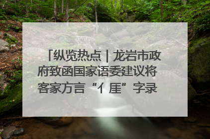 纵览热点｜龙岩市政府致函国家语委建议将客家方言“亻厓”字录入《新华字典》引发热议，当地回应