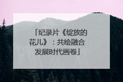 纪录片《绽放的花儿》：共绘融合发展时代画卷