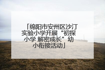 绵阳市安州区沙汀实验小学开展“初探小学 解密成长”幼小衔接活动