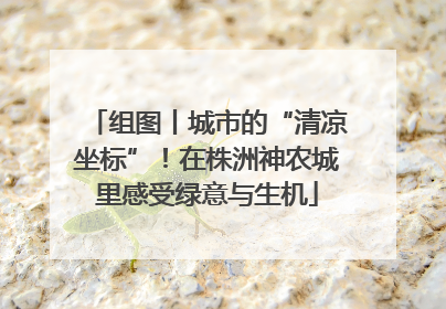 组图丨城市的“清凉坐标”！在株洲神农城里感受绿意与生机