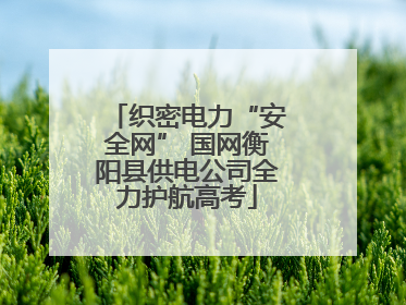 织密电力“安全网” 国网衡阳县供电公司全力护航高考