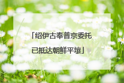 绍伊古奉普京委托已抵达朝鲜平壤