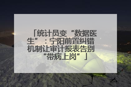 统计员变“数据医生”：宁阳前置纠错机制让审计报表告别“带病上岗”