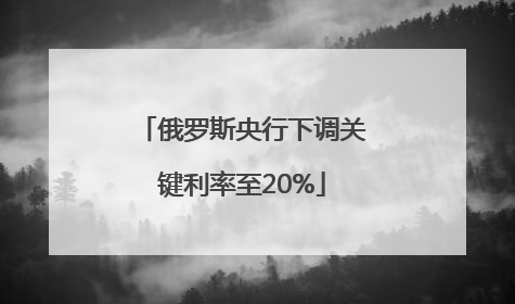 俄罗斯央行下调关键利率至20%