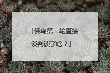 俄乌第二轮直接谈判谈了啥？