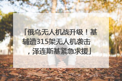 俄乌无人机战升级！基辅遭315架无人机袭击，泽连斯基紧急求援