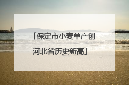 保定市小麦单产创河北省历史新高