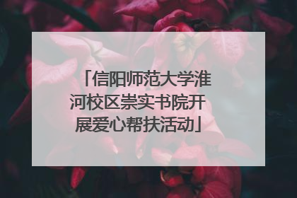 信阳师范大学淮河校区崇实书院开展爱心帮扶活动