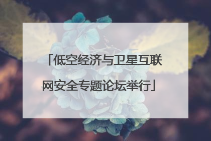 低空经济与卫星互联网安全专题论坛举行