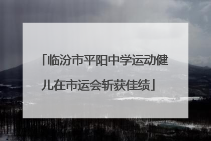 临汾市平阳中学运动健儿在市运会斩获佳绩