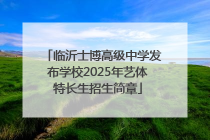 临沂士博高级中学发布学校2025年艺体特长生招生简章