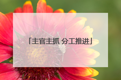 主官主抓 分工推进