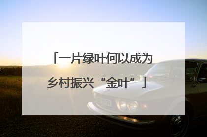 一片绿叶何以成为乡村振兴“金叶”