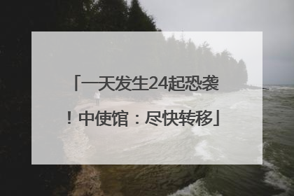 一天发生24起恐袭！中使馆：尽快转移