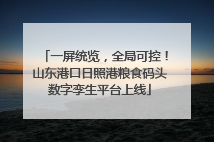 一屏统览，全局可控！山东港口日照港粮食码头数字孪生平台上线