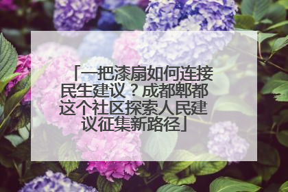 一把漆扇如何连接民生建议？成都郫都这个社区探索人民建议征集新路径