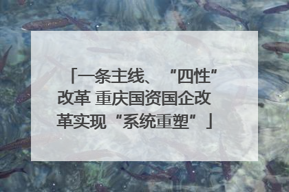 一条主线、“四性”改革 重庆国资国企改革实现“系统重塑”