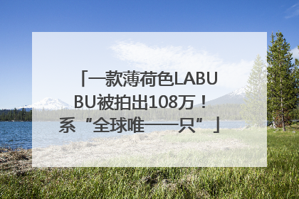 一款薄荷色LABUBU被拍出108万！系“全球唯一一只”