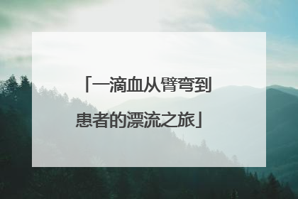 一滴血从臂弯到患者的漂流之旅