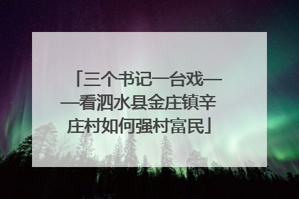 三个书记一台戏——看泗水县金庄镇辛庄村如何强村富民