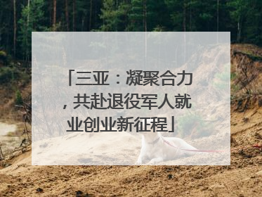 三亚：凝聚合力，共赴退役军人就业创业新征程