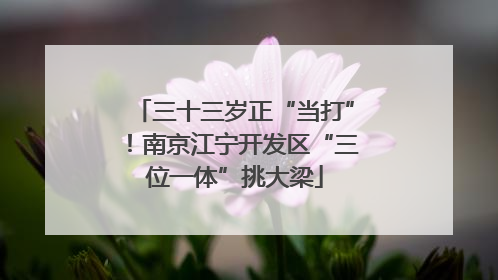 三十三岁正“当打”！南京江宁开发区“三位一体”挑大梁