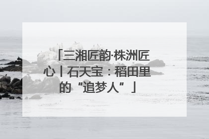 三湘匠韵·株洲匠心丨石天宝：稻田里的“追梦人”