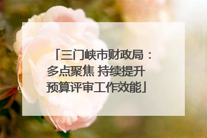 三门峡市财政局：多点聚焦 持续提升预算评审工作效能