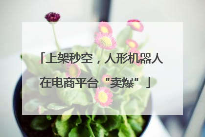 上架秒空，人形机器人在电商平台“卖爆”