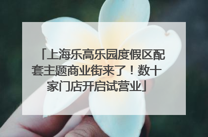 上海乐高乐园度假区配套主题商业街来了！数十家门店开启试营业