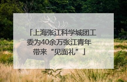 上海张江科学城团工委为40余万张江青年带来“见面礼”