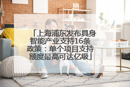 上海浦东发布具身智能产业支持16条政策：单个项目支持额度最高可达亿级