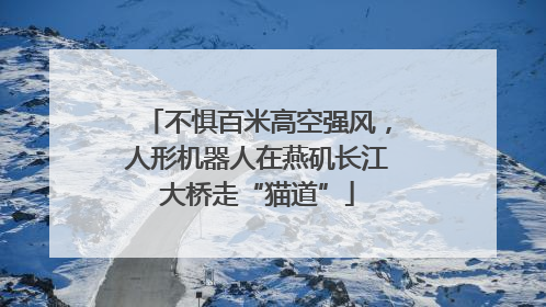 不惧百米高空强风，人形机器人在燕矶长江大桥走“猫道”