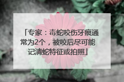 专家：毒蛇咬伤牙痕通常为2个，被咬后尽可能记清蛇特征或拍照