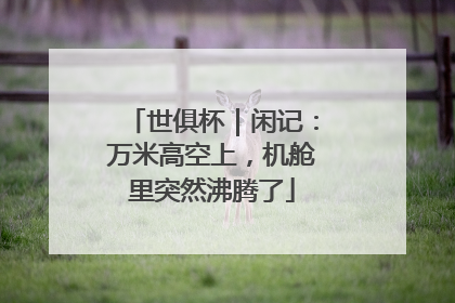 世俱杯｜闲记：万米高空上，机舱里突然沸腾了